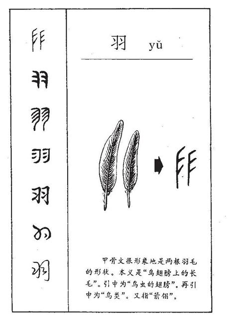 羽字邊的字|羽字旁的字